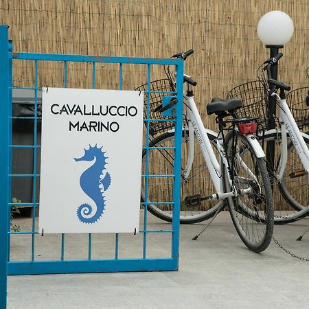 파뷔냐나도 Cavalluccio Marino 아파트 외부 사진