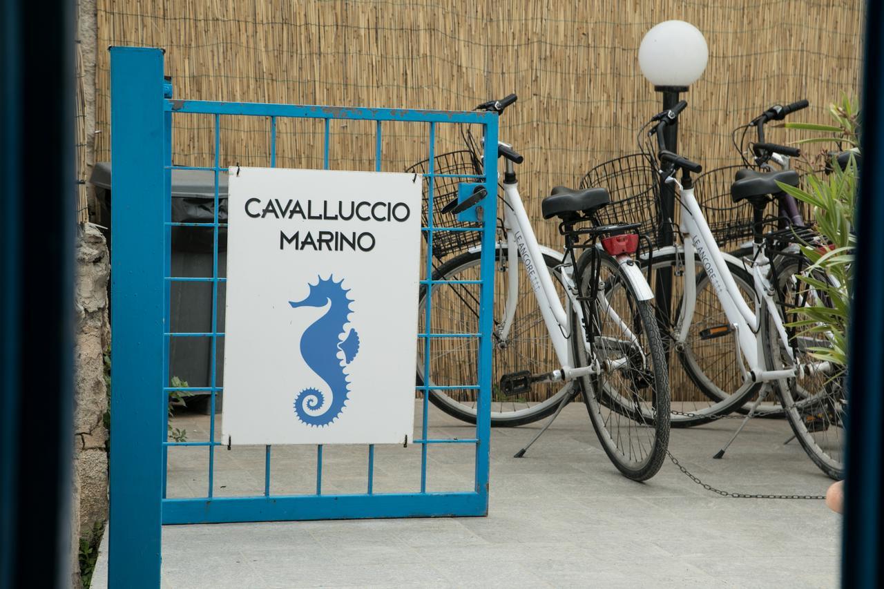 파뷔냐나도 Cavalluccio Marino 아파트 외부 사진
